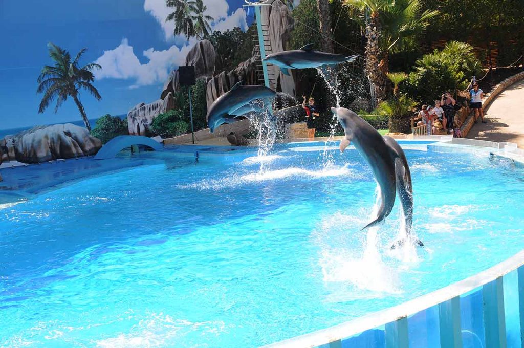 Zoomarine Freizeitpark in Rom