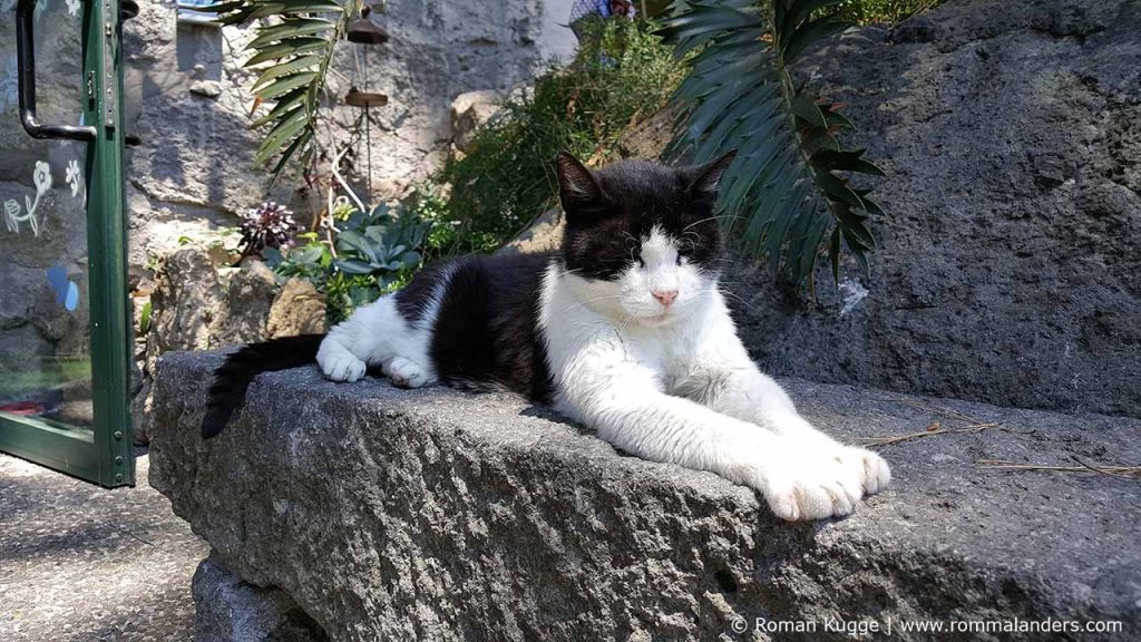 Botanischer Garten Giardini della Mortella Ischia (14)