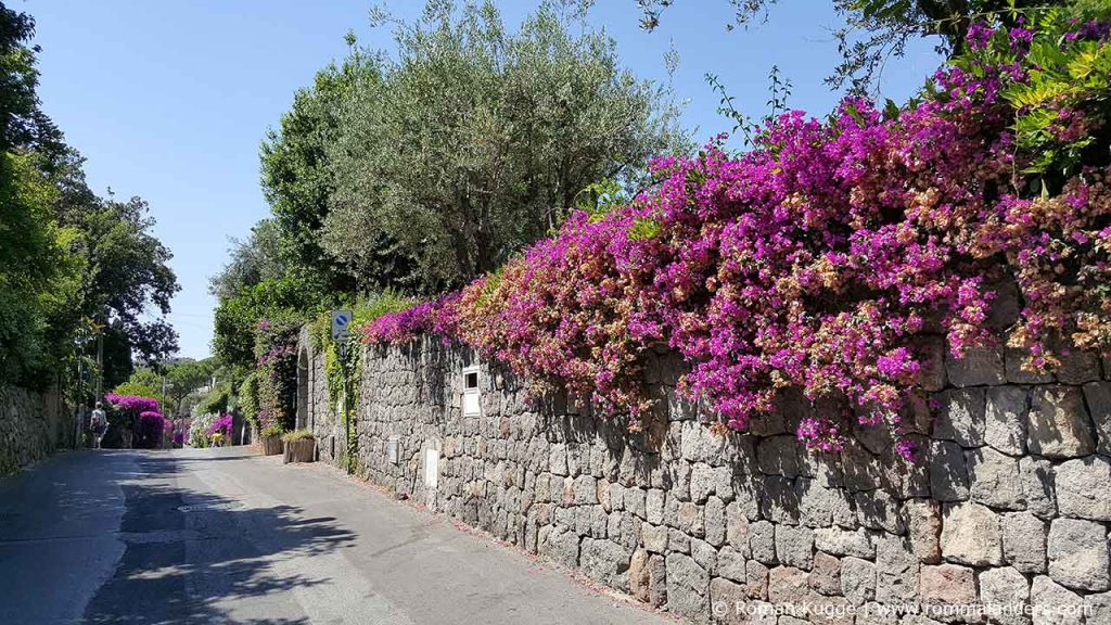 Weg vom Giardini della Mortella zum San Francesco Strand Ischia