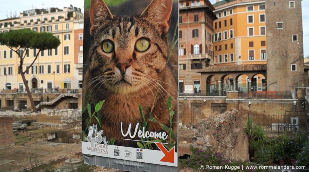 Katzenstation Rom Torre Argentina