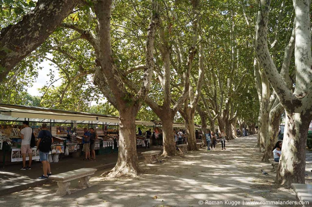 Flohmarkt Bücherverkäufer Rom am Ufer Tiber Engelsburg